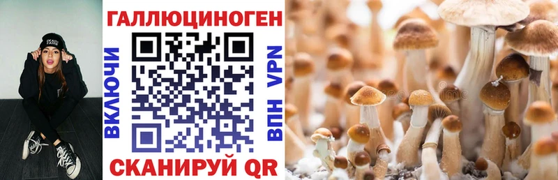 Галлюциногенные грибы мухоморы купить ОМГ ОМГ как зайти Липецк